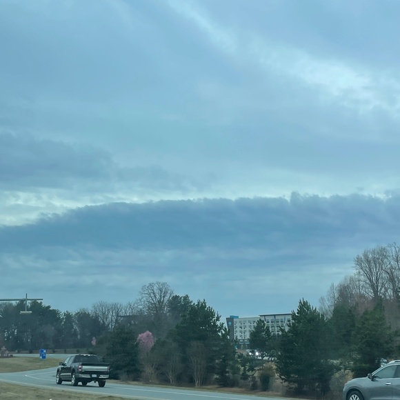 Meet your Posher, Emma - Picture 4 of 4